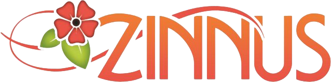 Zinnus